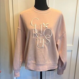 Divided Light Pink CURIOUS Sweatshirt S